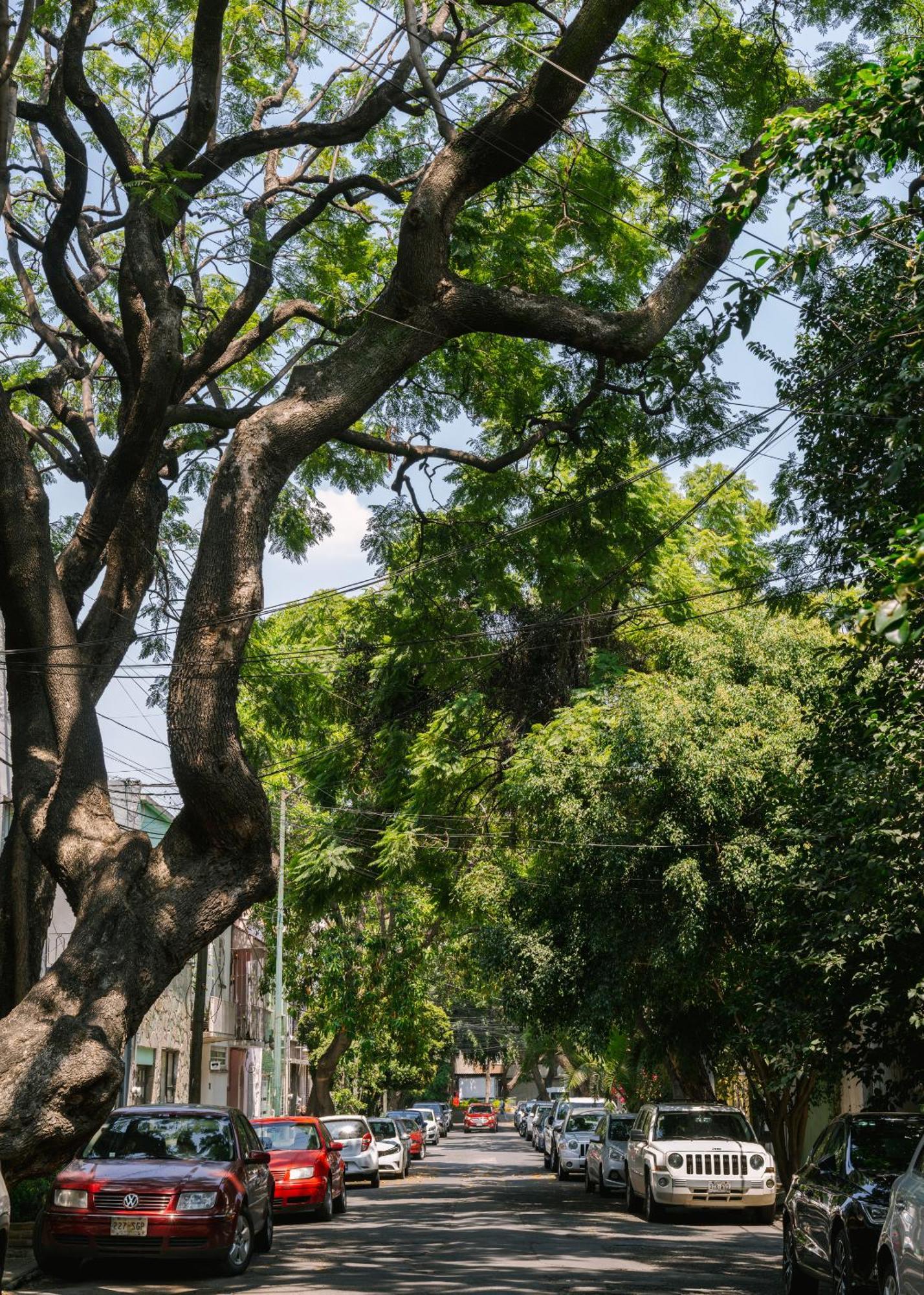 Sonder Miravalle Kota Meksiko Bagian luar foto